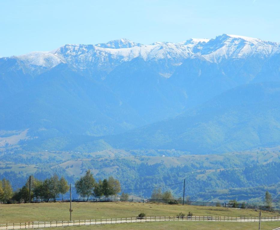 Nobillis - Carpathian Residence Peştera Exteriér fotografie