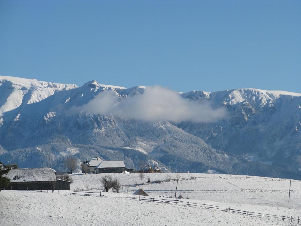 Nobillis - Carpathian Residence Peştera Exteriér fotografie